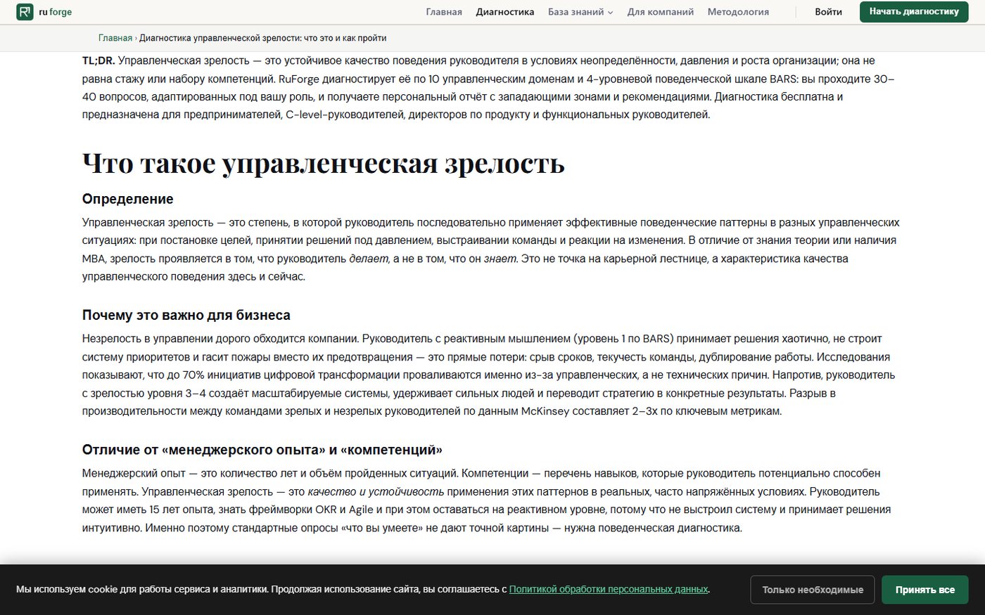 Страница диагностики RuForge